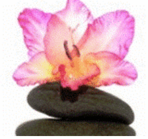 Homeopathic Consultancy – Contact Dr. Maria - Karama, Dubai