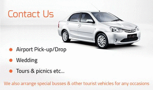 Contact Little Flower Tours and Travels