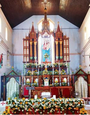 An Ernest Appeal From Milagres Cathedral, Kallianpur, Diocese of Udupi