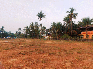 Agricultural Land at Alevoor and Malpe (UDUPI) for Sale - Contact Direct to 9008199430.