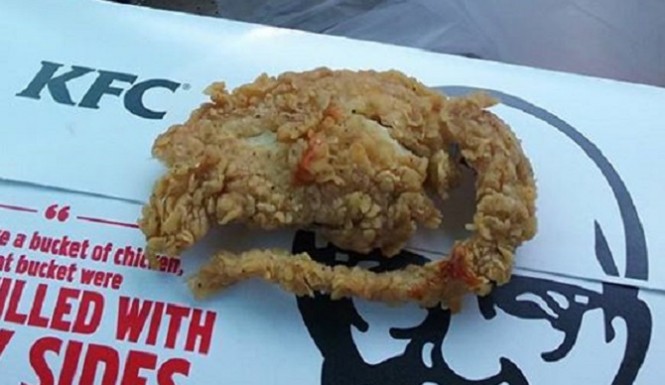 KFC serves fried rat instead of chicken to customer!