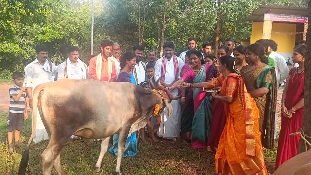 ನಂದಳಿಕೆ ಅಬ್ಬನಡ್ಕ ಶ್ರೀ ದುರ್ಗಾಪರಮೇಶ್ವರೀ ಫ್ರೆಂಡ್ಸ್ ಕ್ಲಬ್ : ಅಬ್ಬನಡ್ಕದಲ್ಲಿ ಗೋಪೂಜೆ ಸಂಭ್ರಮ ನಂದಳಿಕೆ ಅಬ್ಬನಡ್ಕ ಶ್ರೀ ದುರ್ಗಾಪರಮೇಶ್ವರೀ ಫ್ರೆಂಡ್ಸ್ ಕ್ಲಬ್ : ಅಬ್ಬನಡ್ಕದಲ್ಲಿ ಗೋಪೂಜೆ ಸಂಭ್ರಮ