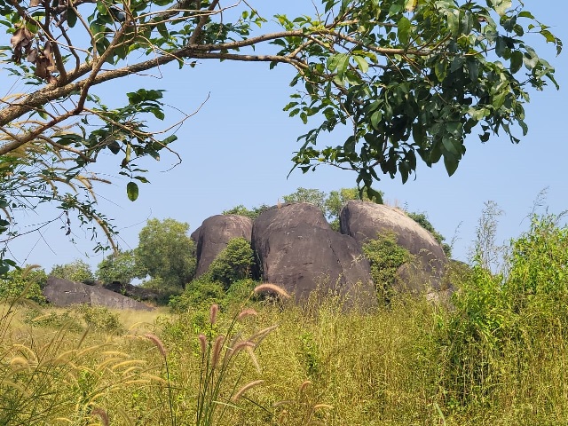 ಪಡುಬಿದ್ರಿ: ಕಾರ್ಕಳ ಮಾರ್ಗದ ಕೈಗಾರಿಕಾ ಪ್ರದೇಶದಲ್ಲಿ ಅಪೂರ್ವ ಪುರಾತನ ಕುರುಹುಗಳು ಪಡುಬಿದ್ರಿ: ಕಾರ್ಕಳ ಮಾರ್ಗದ ಕೈಗಾರಿಕಾ ಪ್ರದೇಶದಲ್ಲಿ ಅಪೂರ್ವ ಪುರಾತನ ಕುರುಹುಗಳು