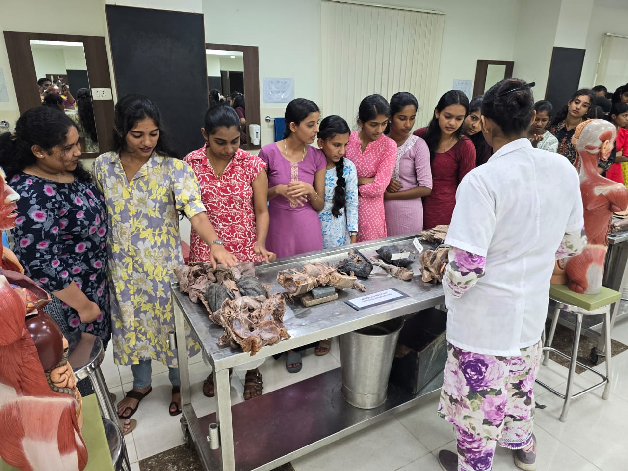 Anatomy Exhibition Marks World Anatomy Day at MAHE Manipal Anatomy Exhibition Marks World Anatomy Day at MAHE Manipal