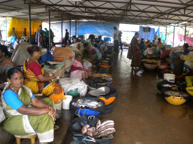 Udupi fish market work to be over by December-end: CDA chief