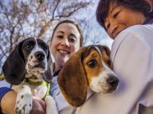 First ever test-tube dogs give ’puppy love’ a new meaning