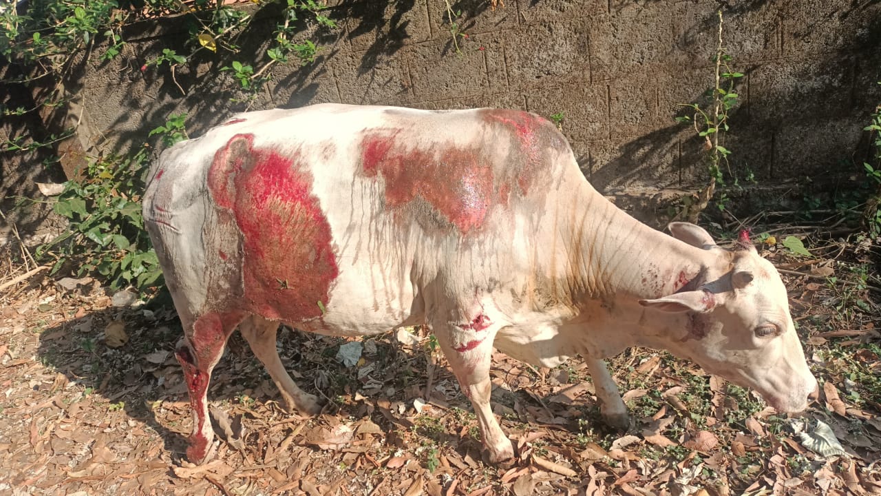 ವೃದ್ಧೆಯ ಅಂತ್ಯಕ್ರಿಯೆಗೆ ನೆರವಾದ ವಿಶು ಶೆಟ್ಟಿ