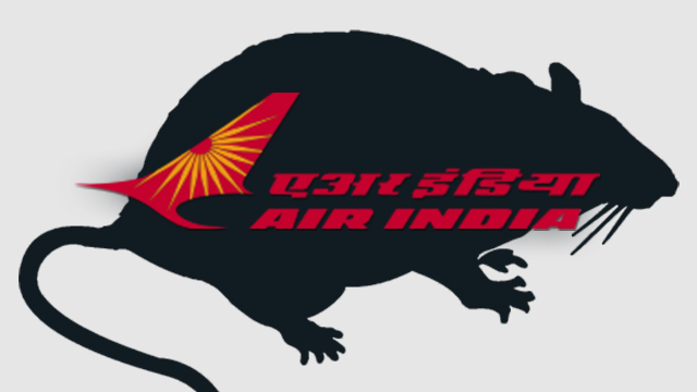 Rats spotted in AI aircraft in Leh, plane grounded