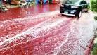 Animal sacrifices turn Dhaka streets into rivers of blood
