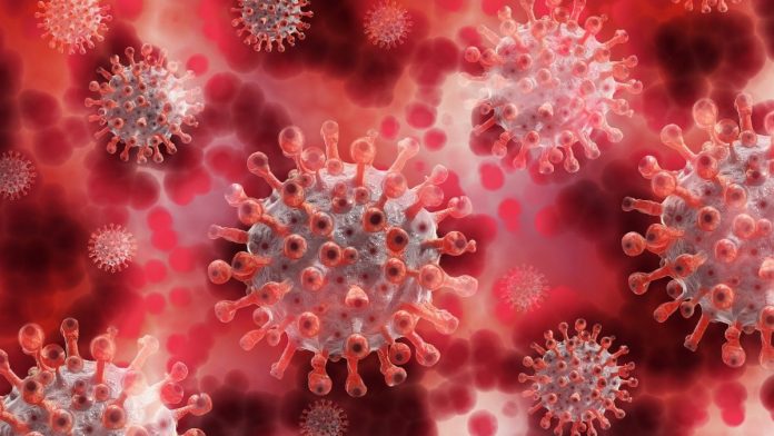 As many as 14 people infected coronavirus positives reported on Thursday, July 2