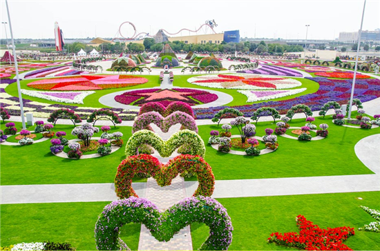 Miracle Garden: A sea of orange, yellow and purple