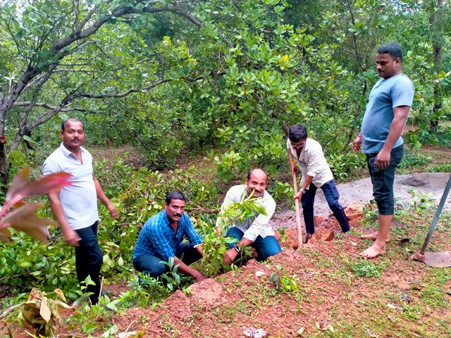 ಅಬ್ಬನಡ್ಕ ಫ್ರೆಂಡ್ಸ್ ಕ್ಲಬ್ : ಹೂವಿನ ಗಿಡ ನೆಡುವ ಕಾರ್ಯಕ್ರಮ ಅಬ್ಬನಡ್ಕ ಫ್ರೆಂಡ್ಸ್ ಕ್ಲಬ್ : ಹೂವಿನ ಗಿಡ ನೆಡುವ ಕಾರ್ಯಕ್ರಮ