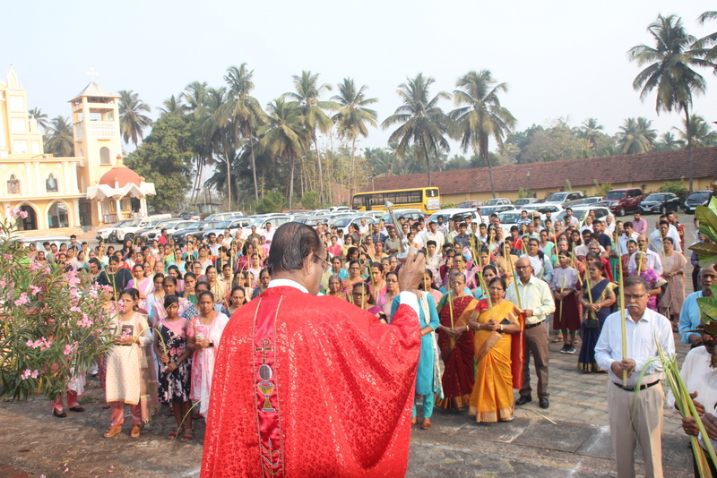 Milagres Cathedral of Udupi diocese, Kallianpur observes Palm Sunday with devotion and Solemnity