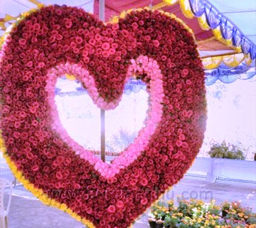 Udupi: Fruit and flower show attracts crowd, praise