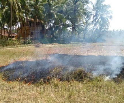 Controlled fire gets out of hand, creates panic at Mudalakatte, Kemmannu.