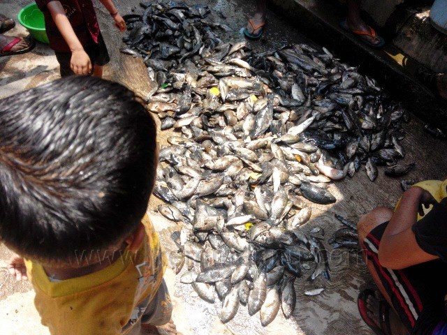 Kemmannu Youth enjoy Easter Day by Fishing