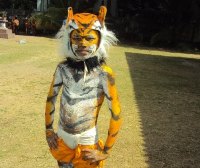 Tiger Dance, Hulivesha, Vaghavesu