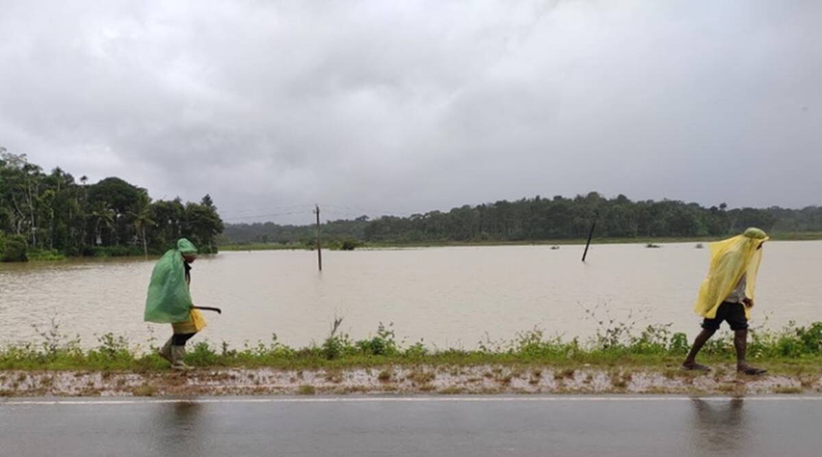 Heavy rains lash several parts of Karnataka; crop damage reported