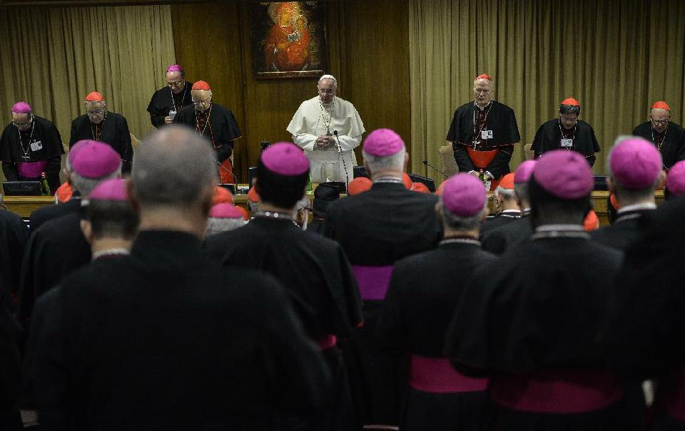 Setback for pope as synod fails to agree on gays, divorcees