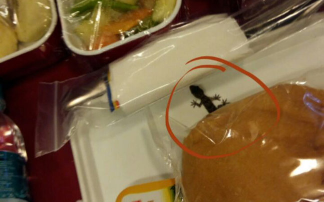 Passenger â€™spotsâ€™ lizard in flight meal, files complaint; Air India says â€™no truth in claimsâ€™