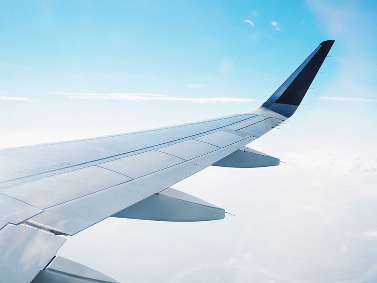 COVID-19: UAE suspends flights from India starting April 25 COVID-19: UAE suspends flights from India starting April 25