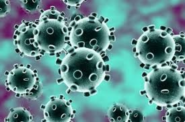 Suspected coronavirus infection in Shirva based person : treatment in the district hospital