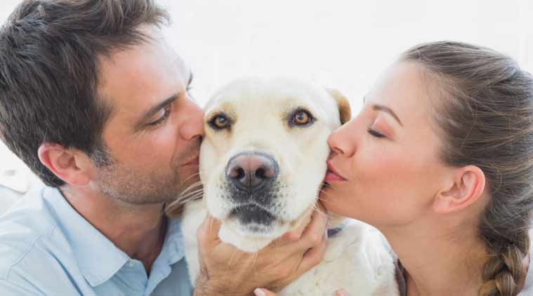 Five reasons why you must have a dog at home