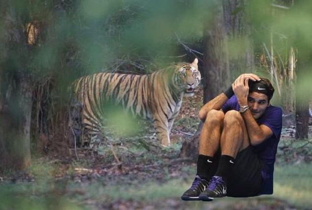 Federerâ€™s photoshopped India tour a hit on Twitter