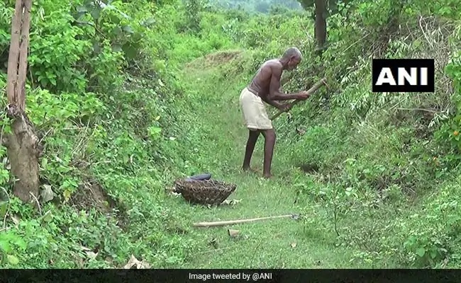 Bihar Man Carves Out 3-Km Long Canal In 30 Years To Irrigate Parched Fields Bihar Man Carves Out 3-Km Long Canal In 30 Years To Irrigate Parched Fields