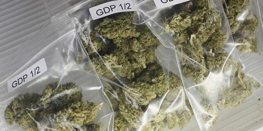 Online marijuana smuggling racket busted in Madhya Pradesh, Amazon under police scanner