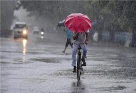 Heavy rain: Holiday announced for schools and colleges in Udupi district today (July 5).
