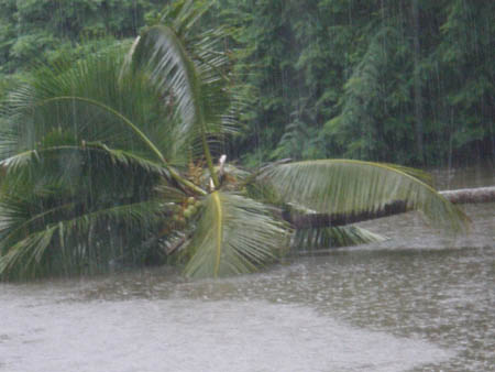 A Rainy Day At Kemmannu - Pics