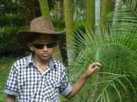 McLean Fernandes McLean Fernandes