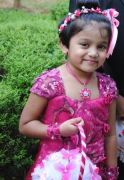 Ishney Melaida Fernandes Ishney Melaida Fernandes