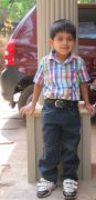 ALROY ALROY