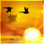 to all my friends and kemmannu.com veiwers to all my friends and kemmannu.com veiwers