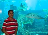 Nikhil Nikhil