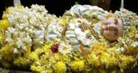 Wish you All a very Happy Feast Wish you All a very Happy Feast