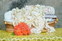 to all mangaloreans catholics all over the world to all mangaloreans catholics all over the world