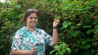 HAPPY BIRTHDAY VEENA HAPPY BIRTHDAY VEENA