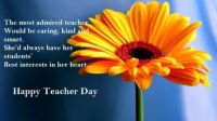 TO ALL THE TEACHERS in kemmannu.com TO ALL THE TEACHERS in kemmannu.com