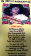 Eliza Sarin Eliza Sarin